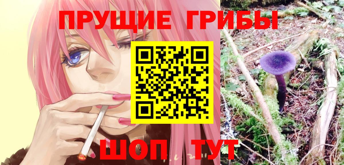Королёв  Галлюциногенные грибы MAGIC MUSHROOMS  Вход с VPN 